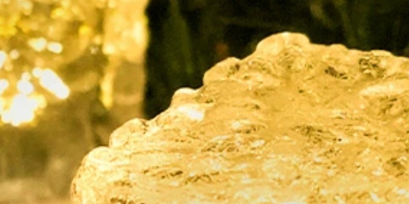 �\�[���[�p���[�K�[�f�����C�g�i�y�V�j���T�C�g